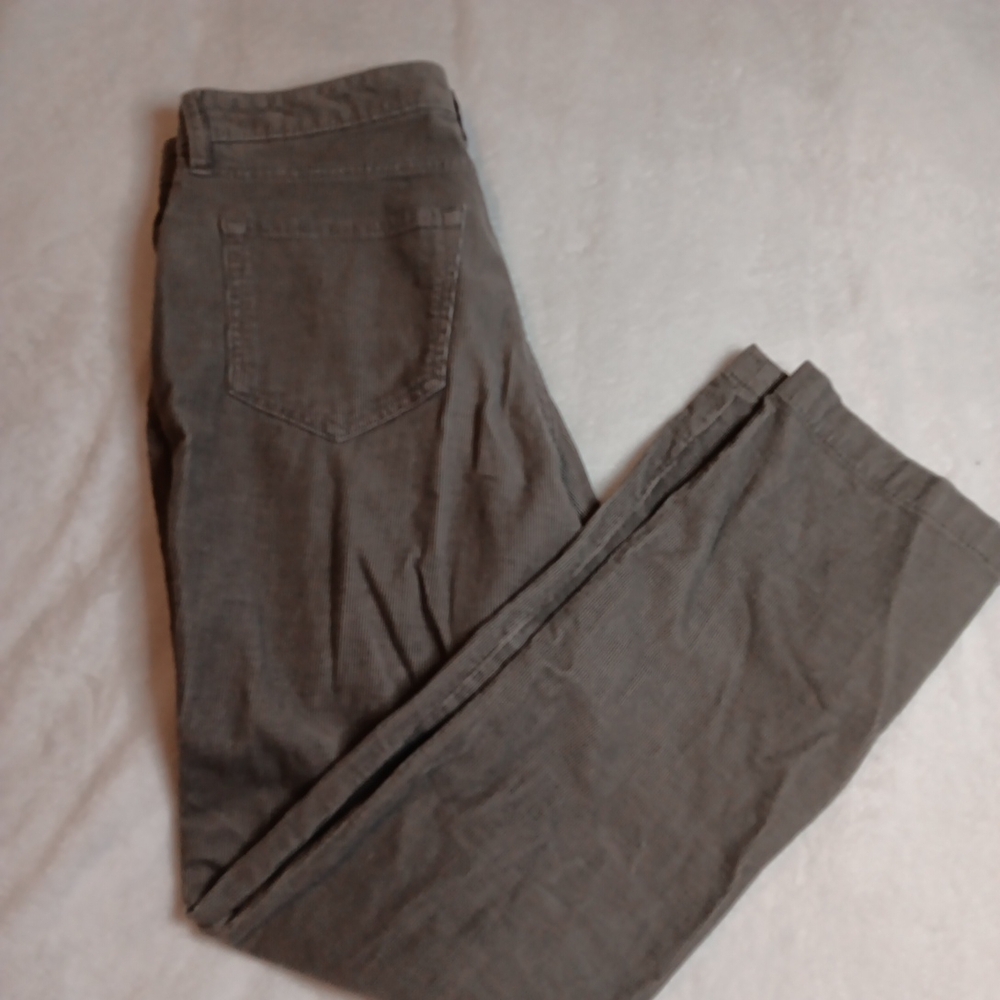 Gray Casual Cordury Pants